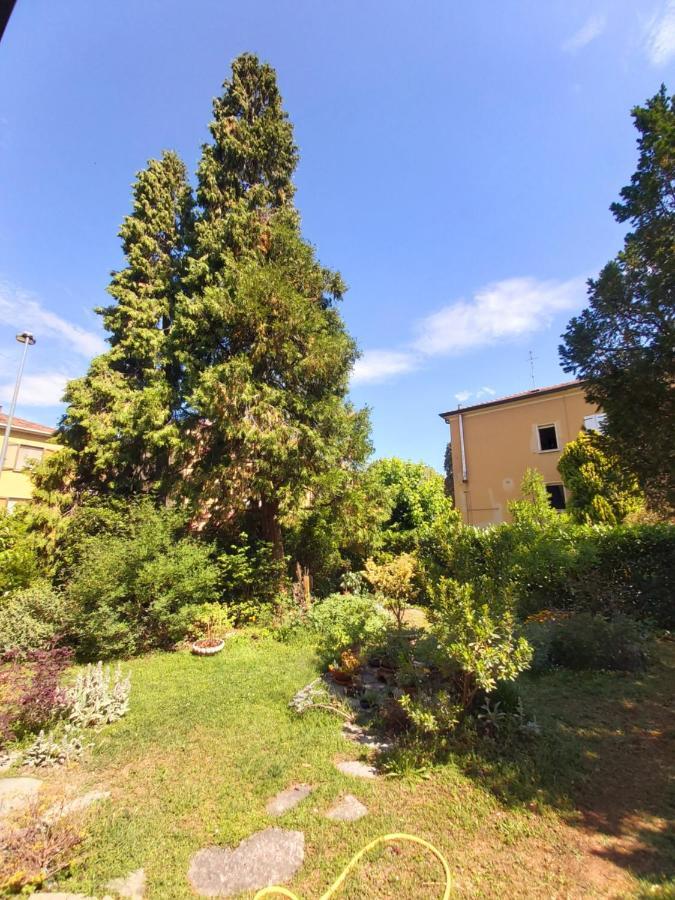 B&B Rustic Chic Casa Salva Molinella Luaran gambar